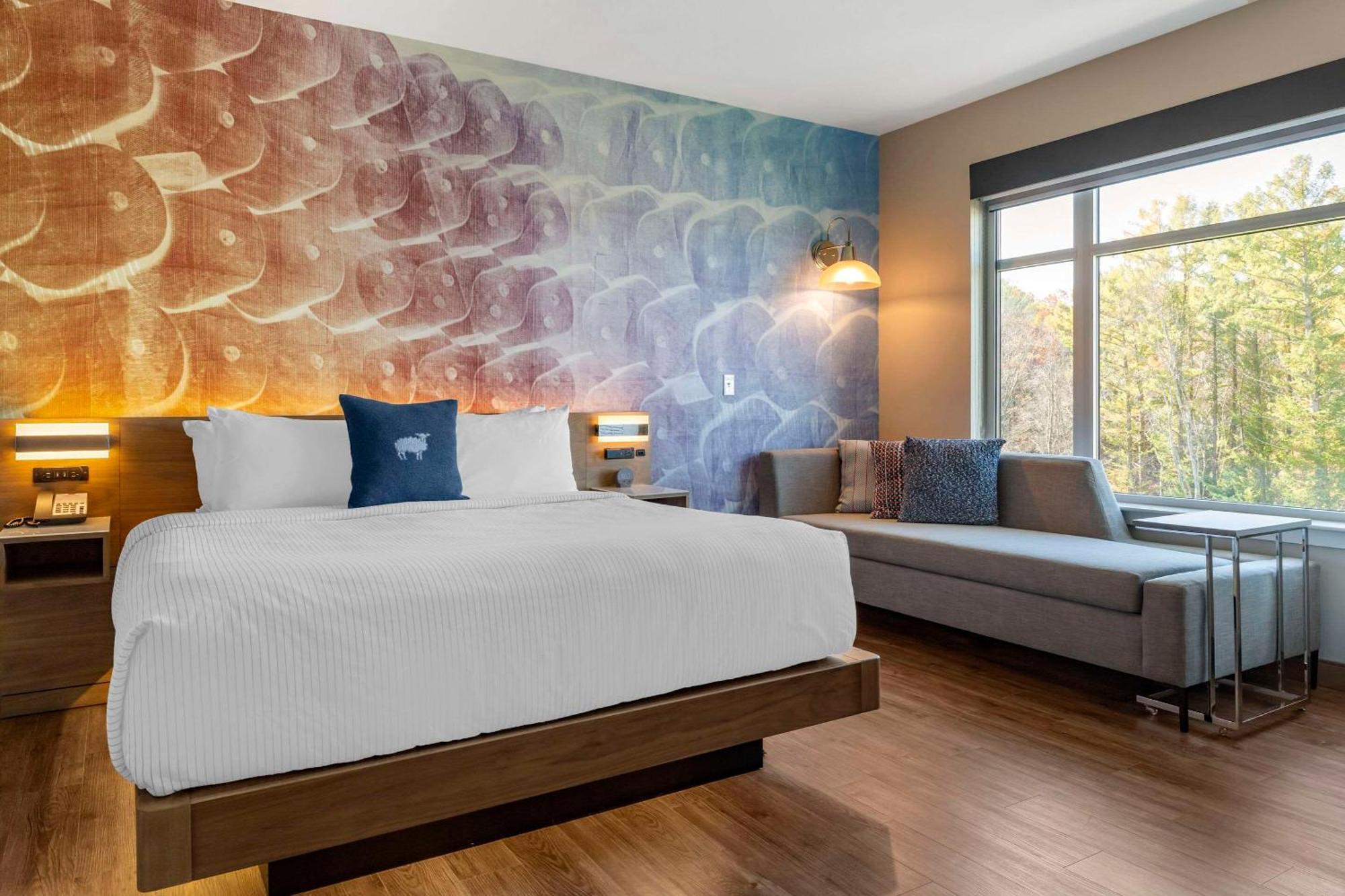 Cambria Hotel Manchester South Windsor מראה חיצוני תמונה